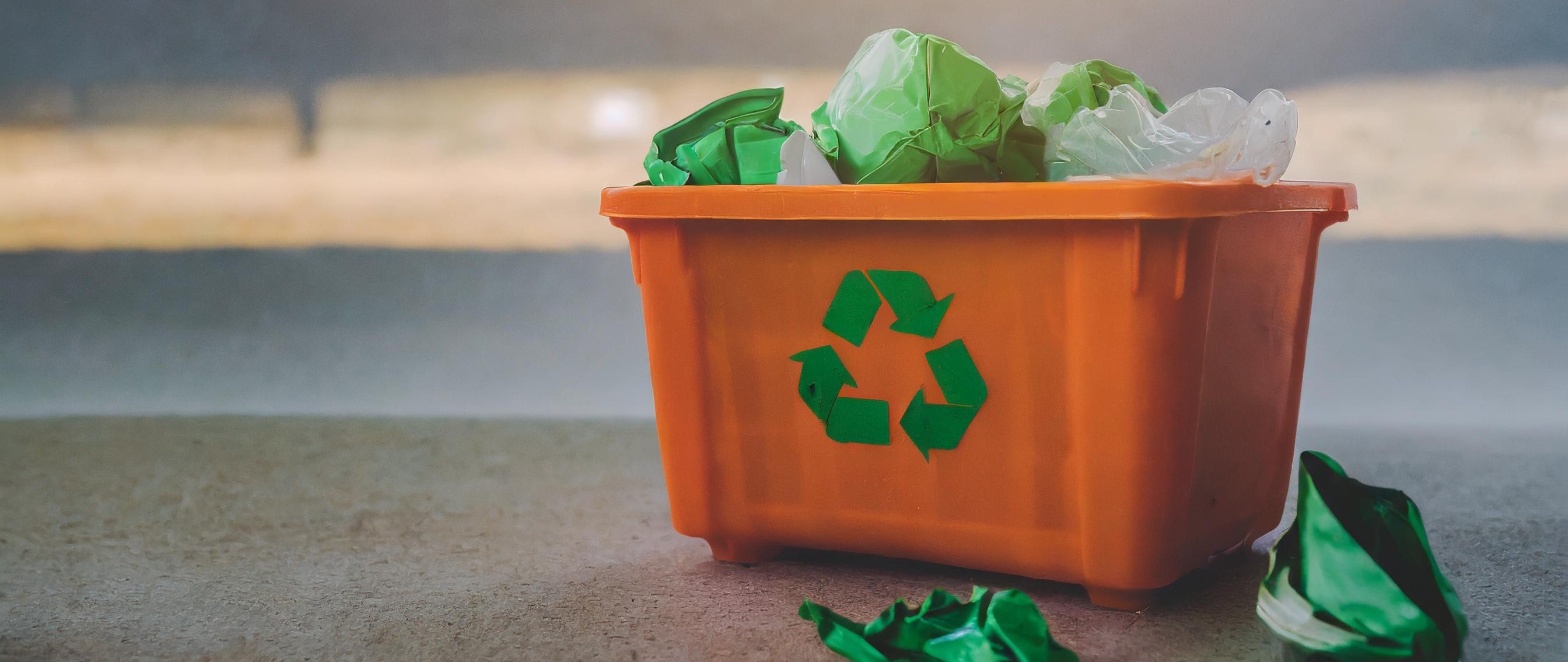 International Conference on Recycling and Waste Management